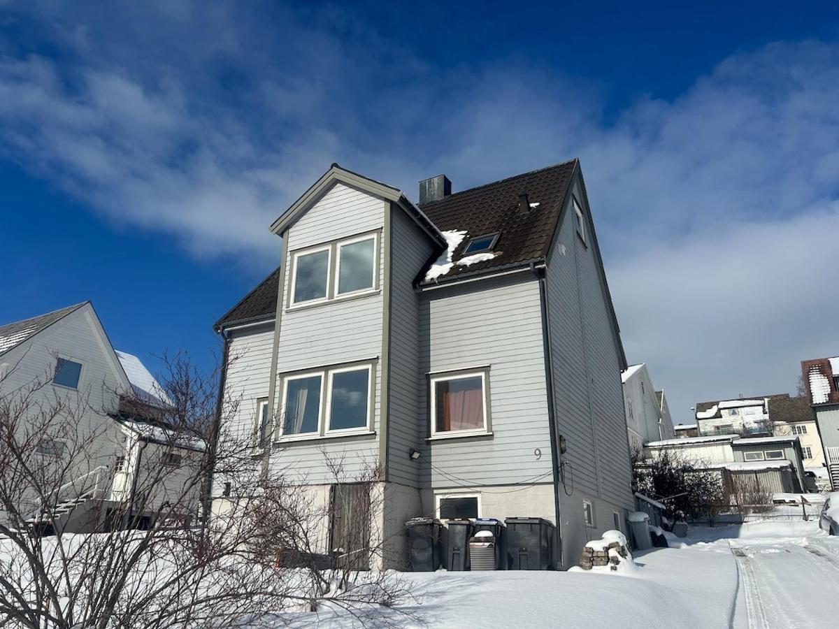With Short Distance To The Adventure Apartment Narvik